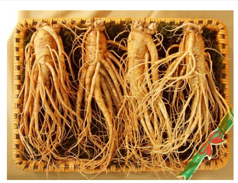 Nhân Sâm Tươi Hàn Quốc 4 Củ/kg