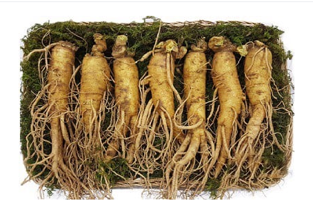 Nhân sâm tươi Hàn Quốc loại 7 củ/kg